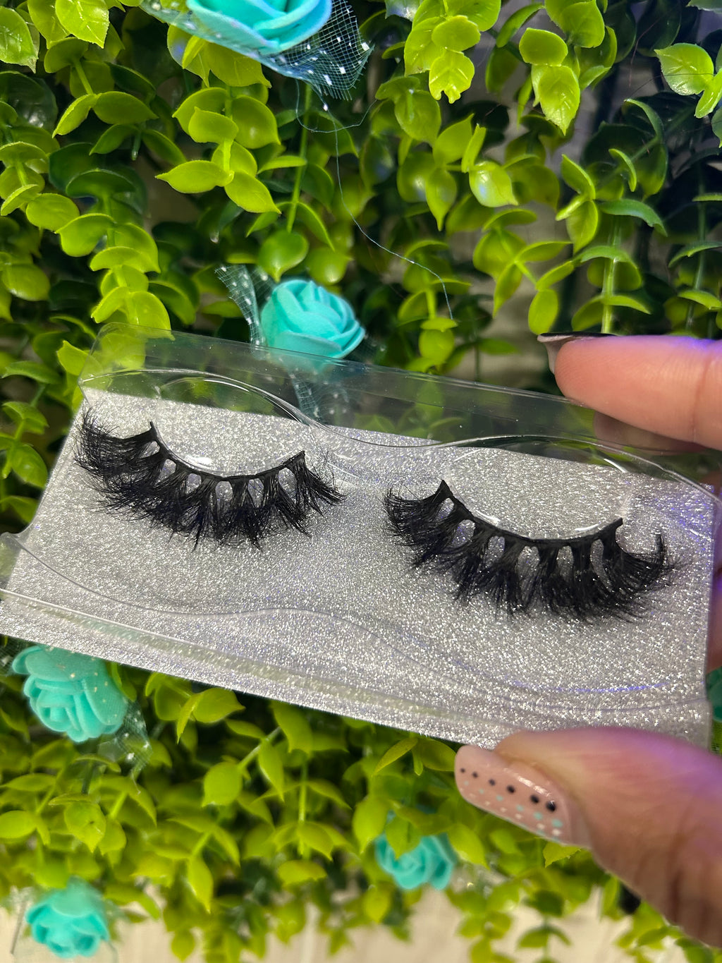 Lash Wishes